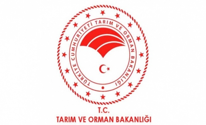 Tarım ve Orman Bakanlığına Sözleşmeli Personel Alımında Değişiklik Yapıldı