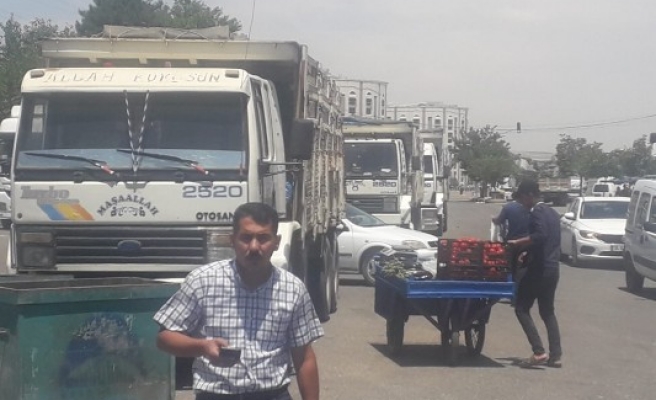 Urfa buğday pazarında yeni sezon açıldı