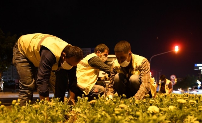 Şanlıurfa rengarenk bir görünüm kazanıyor