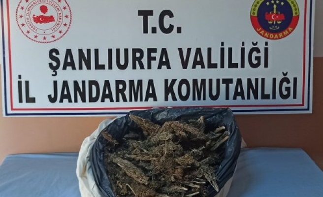 Viranşehir'de kaçakçılık operasyonu: 5 şüpheli yakalandı