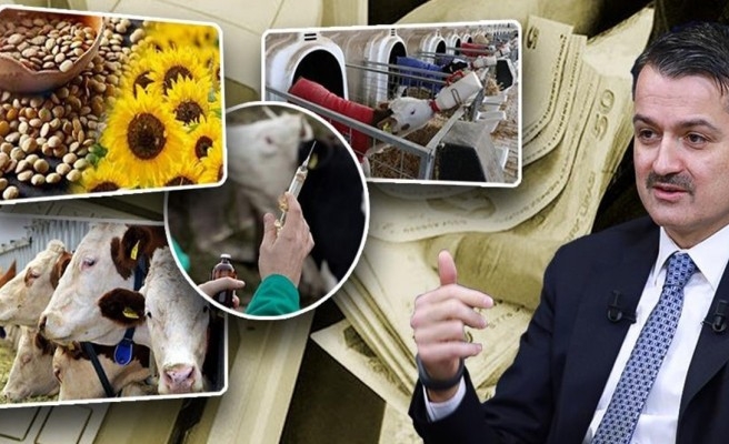 Bakan açıkladı: 374 milyon destek yatırıldı