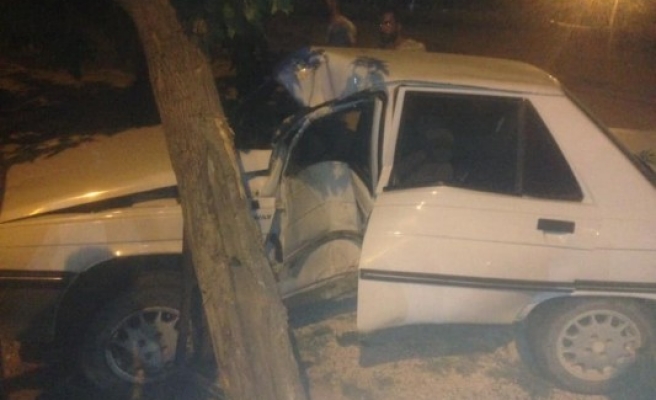 Şanlıurfa'da kaza: Sürücü ağaca çarptı