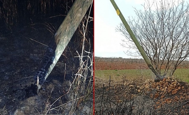 Dicle Elektrik’ten uyarı: Vatandaş mağdur oluyor