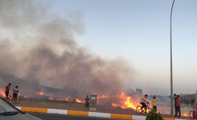 Şanlıurfa'da boş arazide yangın