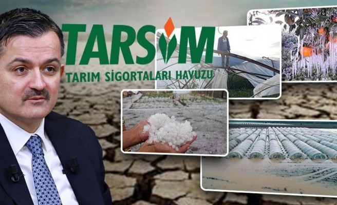 Bakan duyurdu: Çiftçilere tazminat ödenecek