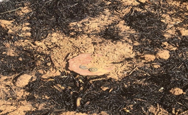 Barış Pınarı bölgesindeki tuzak son anda engellendi