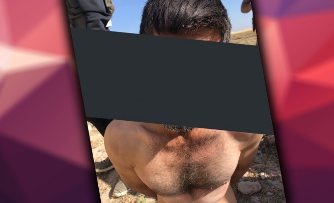 Eylem yapmaya hazırlanan terörist Şanlıurfa'da yakalandı