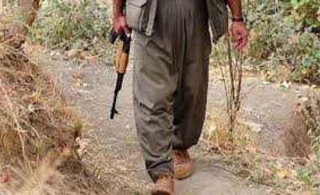 Şanlıurfa-Mardin sınırında bir terörist yakalandı