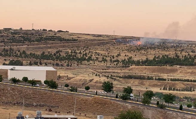 Urfa'da ormanlık alanda yangın