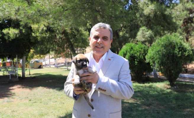 Beyazgül, hayvan barınağını ziyaret etti