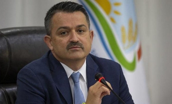 Bakan Pakdemirli açıkladı: Bugün hesaplara yatıyor