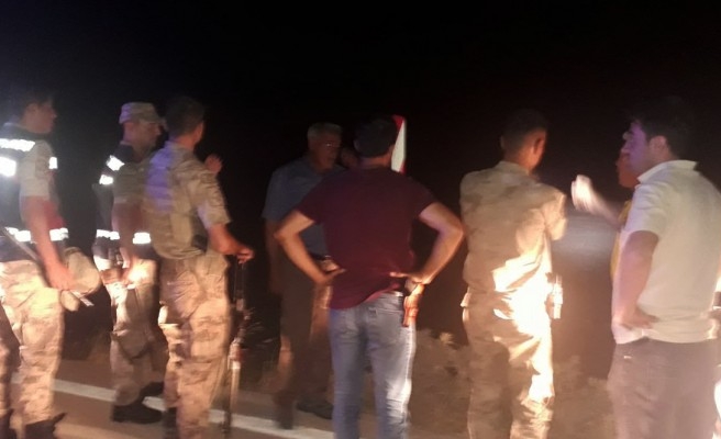 Şanlıurfa'da ceylanlar için nöbetler devam ediyor