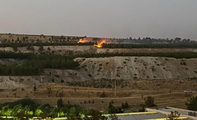 Şanlıurfa’da ormanlık alanda yangın!