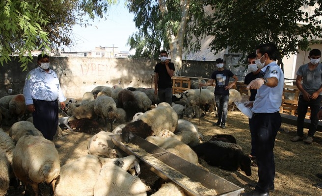 Haliliye’de bayram hazırlıkları sürüyor