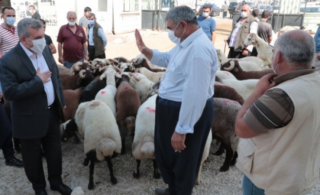 Beyazgül’den hayvan borsası esnafına ziyaret