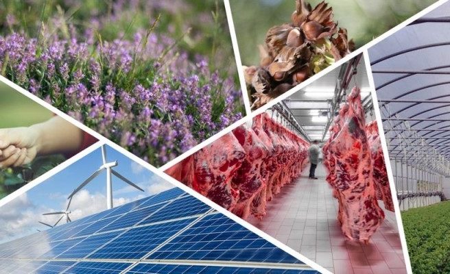 Resmi Gazete'de yayımlandı: Destek verilecek