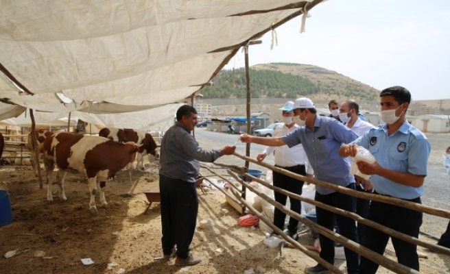 Urfa’nın ilçesinde kurban hazırlıkları sürüyor