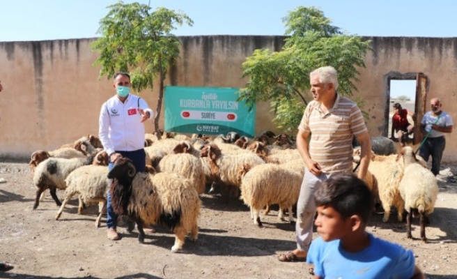 Barış Pınarı bölgesinde kurbanlar kesildi
