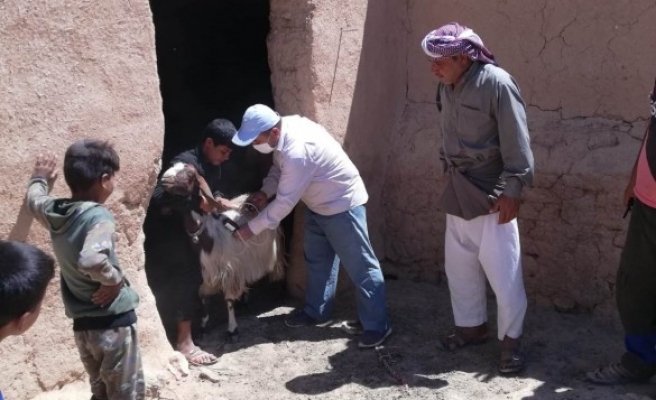 Sınır ötesinde tarım ve hayvancılığa Urfa’dan destek!