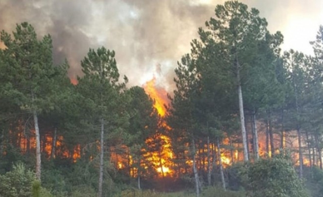 Bakanlık genelge gönderdi, Urfa'da komisyon toplandı