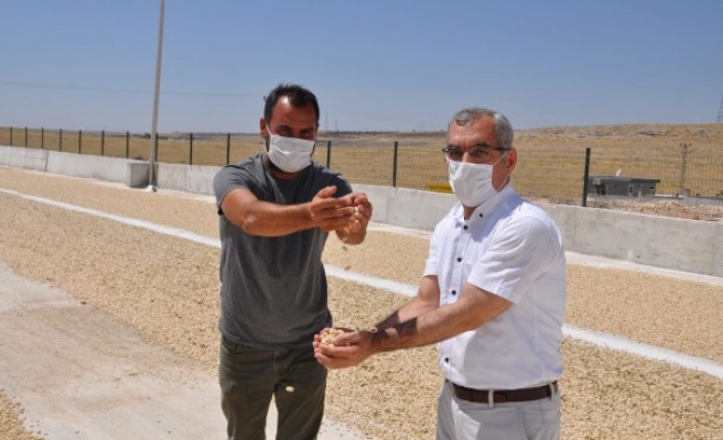 TKDK İl Koordinatörü yatırımcılara seslendi: Urfa Fıstığı işlenemiyor