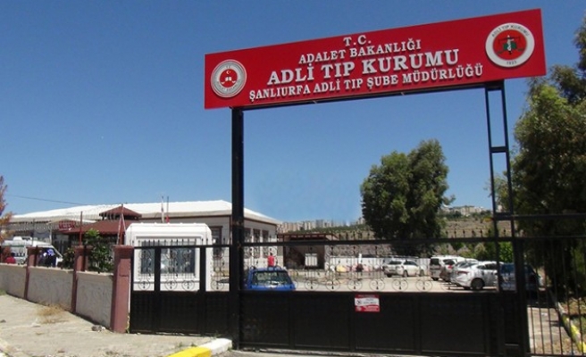 Ceylanpınar'da abi kız kardeşini katletti!