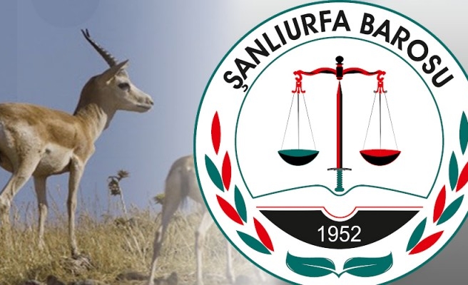 Urfa ceylanlarının katliamını önlemek için dava açılıyor!