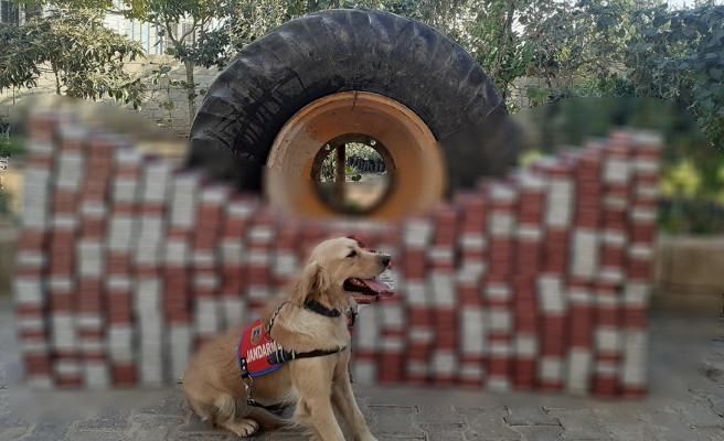 Urfa’da lastiğe gizlenmiş kaçak sigara ele geçirildi