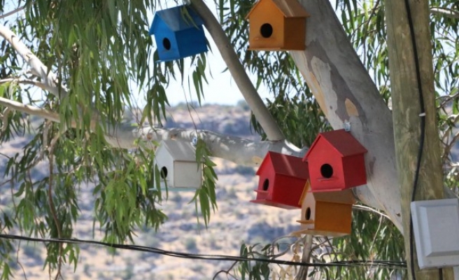 Halfeti'de kuşlar için hazırlanan yuvalar yerleştirildi