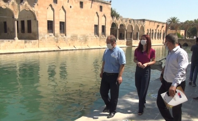 Vali Erin talimat verdi: Balıklgöl'de inceleme yapıldı