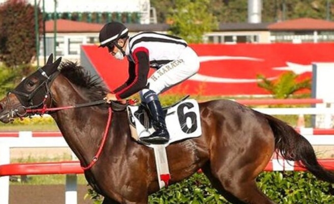 Şanlıurfalı jokey zor bir rekoru kırdı