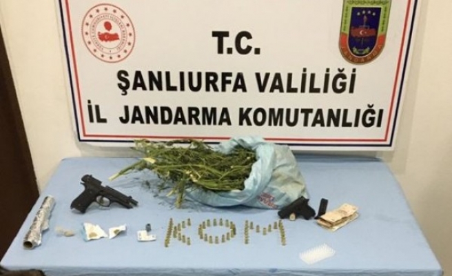 Urfa'da uyuşturucu operasyonu: Gözaltı var