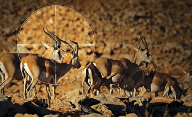 Avlanma Kotaları Belirlendi: Hangi Tür Hangi İlde Avlanacak?