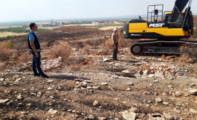 Yanan 46 hektarlık ormanlık alan ağaçlandırılıyor