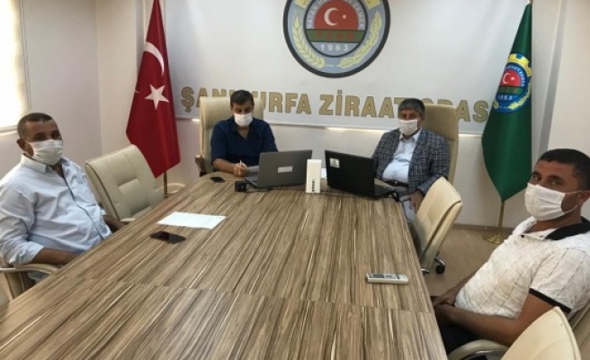 Şanlıurfa'da pamuk ve mısır biçim ücretleri belirlendi