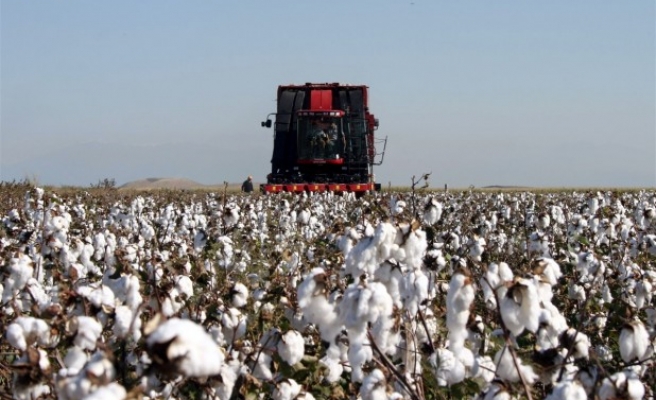 TZOB Başkanı Bayraktar, pamuk üreticileri için destek istedi