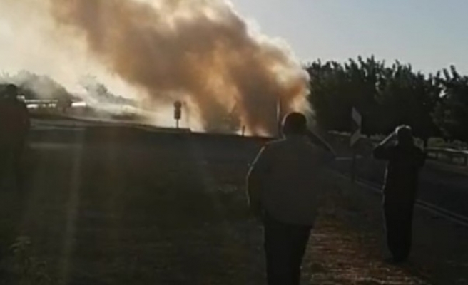 Mardin yolunda yangın: Cayır cayır yandı