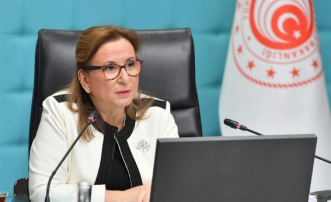 Ticaret Bakanı Pekcan'dan yatırımcılara davet