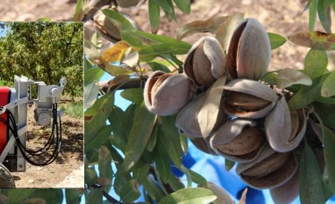 Şanlıurfa'da badem hasadı için makine icat edildi!