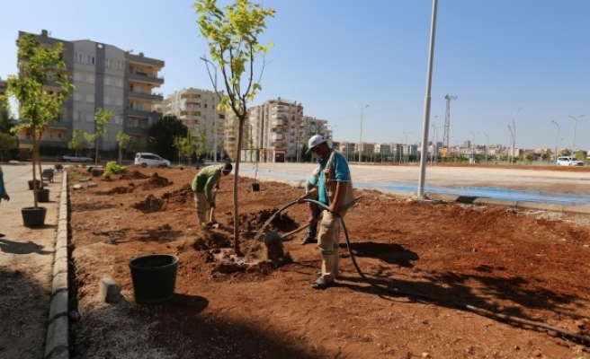 Yeni parklarda ağaçlandırma çalışmaları sürüyor