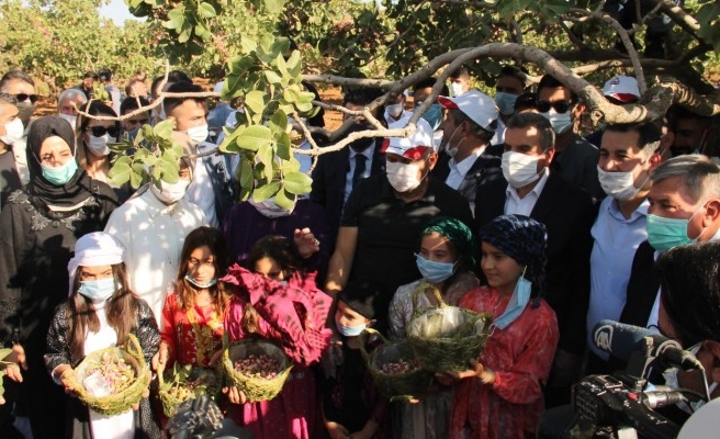 Binali Yıldırım: Fıstık denilince akla Urfa gelir