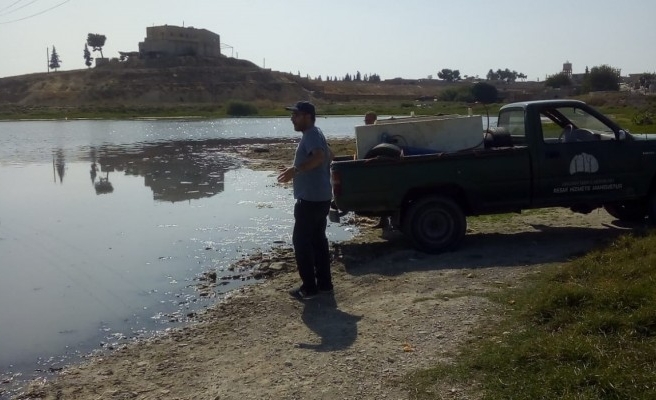 Telabyad’da balıkçılık için adım: 520 bin balık bırakıldı