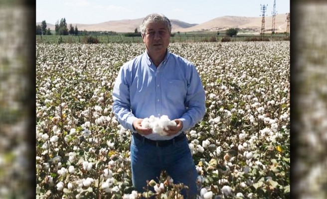 ZMO'dan pamuk fiyatları ve ekim alanları için açıklama