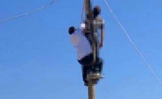 Urfa'da feci ölüm: Tamir için çıktığı direkte akıma kapıldı