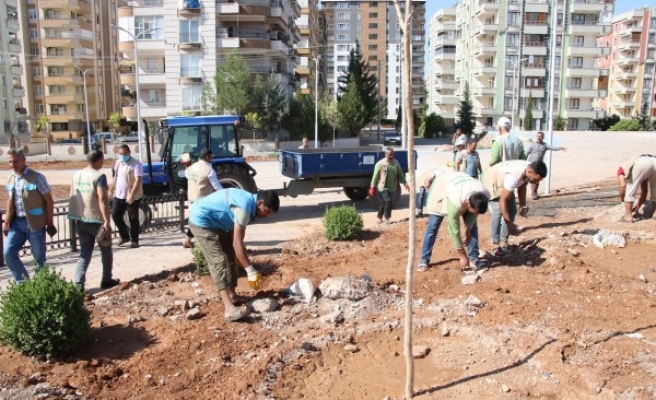 Haliliye'de yeni parklarda ağaçlandırma çalışmaları sürüyor