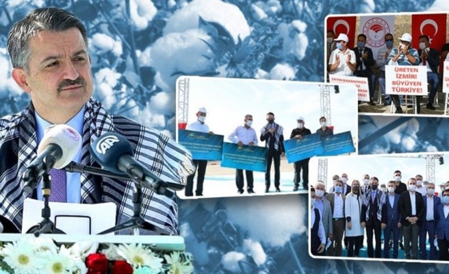 Pamuk primi için Bakan Pakdemirli'den son dakika açıklaması