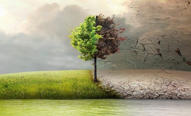 Hibe başvuruları başladı: İşte detaylar