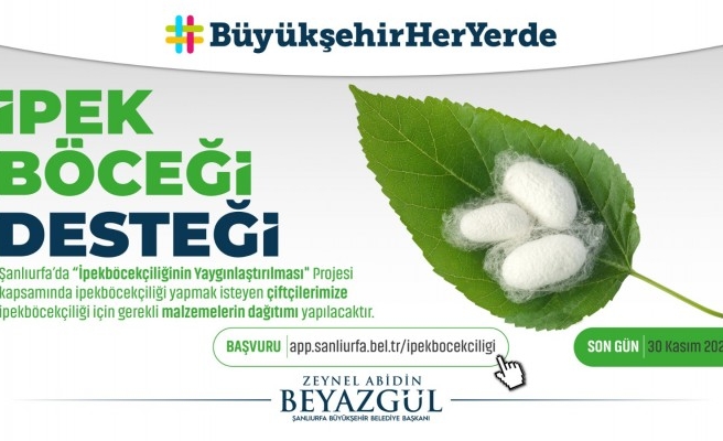 İpekböcekçiliği için Büyükşehirde adım atıldı