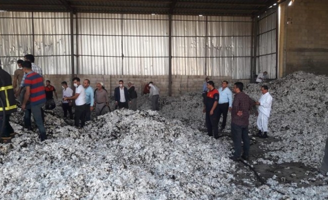 Şanlıurfa'daki fabrikada korkutan yangın