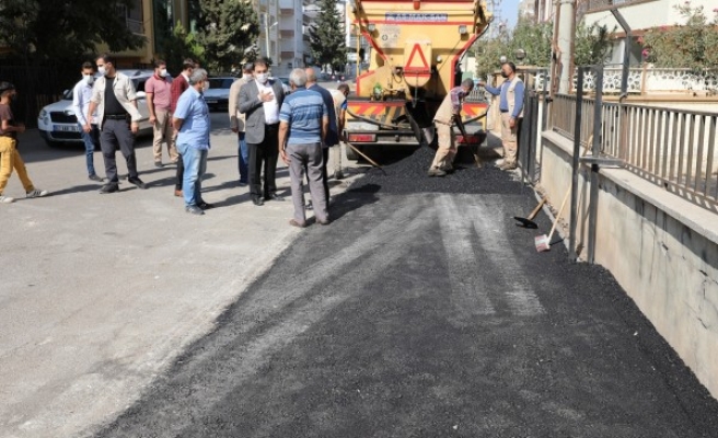 Canpolat sahaya indi, çalışmaları inceledi